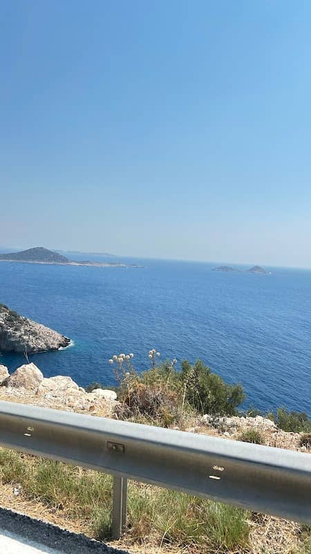 Viewpoint - Image 1
