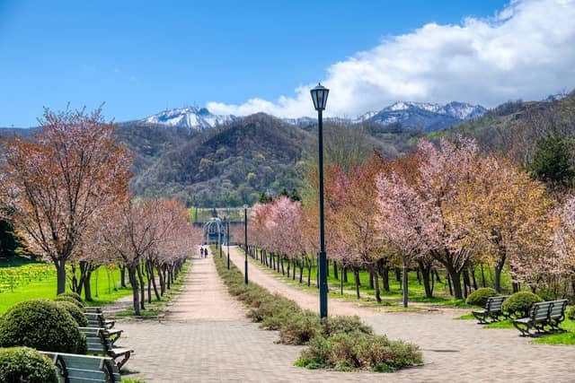 Hoshimi Ryokuchi Park - Image 2