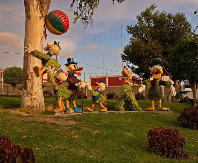 Plaza Donald Duck - Image 1