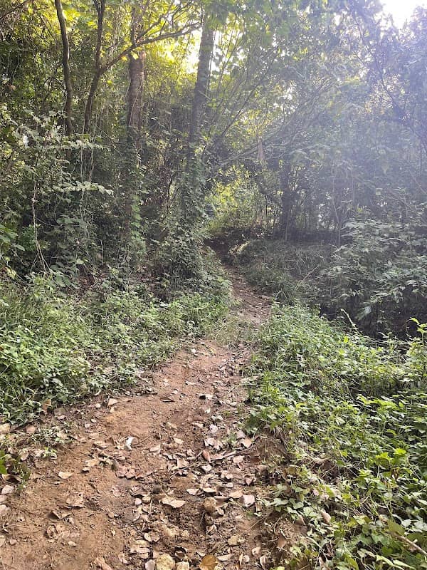 Mt. Habu - Image 1
