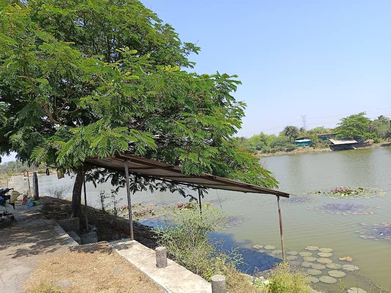 Bhathla Talav - Image 1