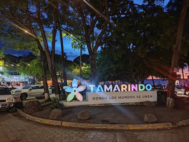 Tamarindo - Image 3