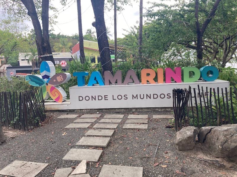 Tamarindo - Image 1