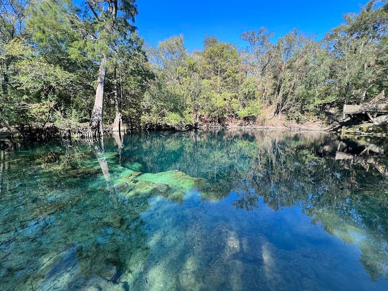 Royal Springs - Image 1