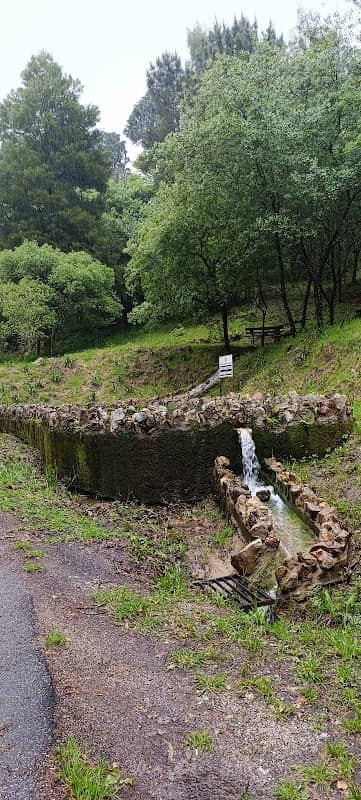 Parque de Merendas de Trezói - Image 2