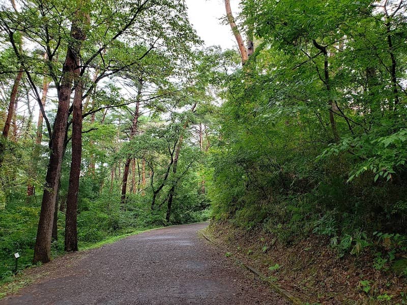 Dainohara Forest Park - Image 2