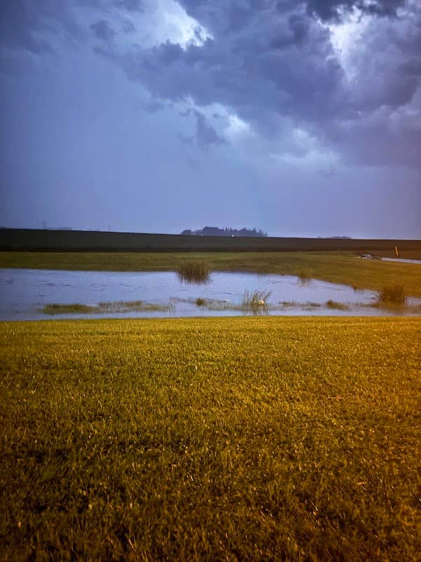 LOONEY LAKE - Image 1