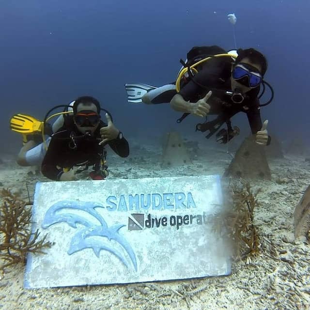 SAMUDERA DIVE OPERATOR - Image 2