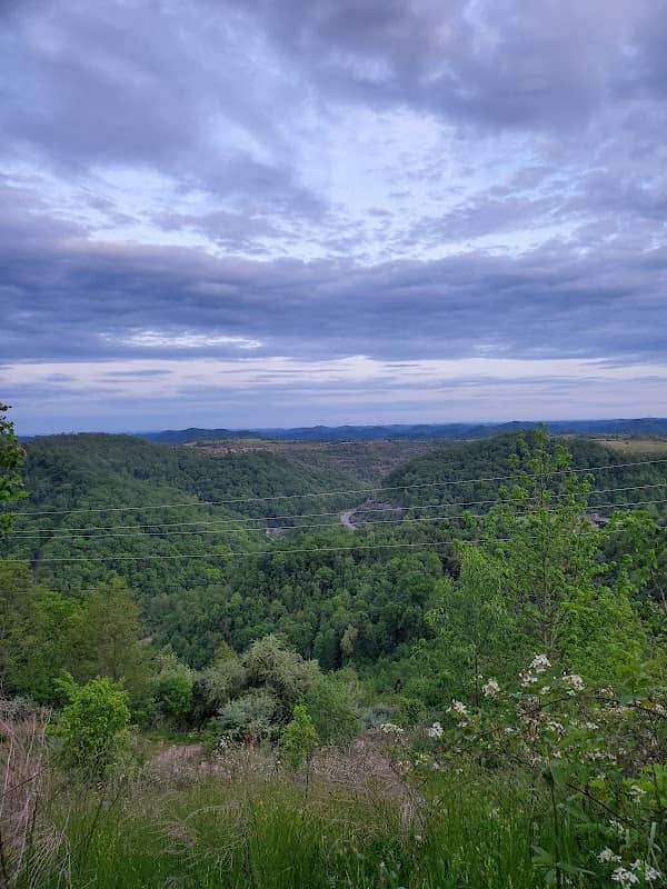 Sugarcamp MTN Trailhead - Image 1