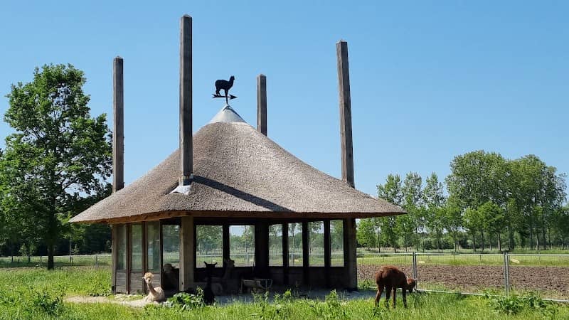 Josina farm - Image 1