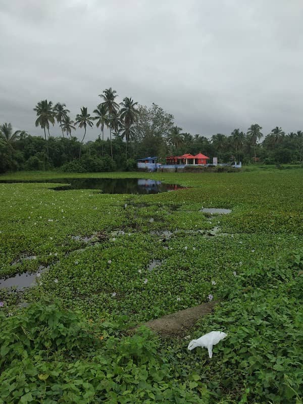 Malakkulam, Thrippalur Road - Image 1