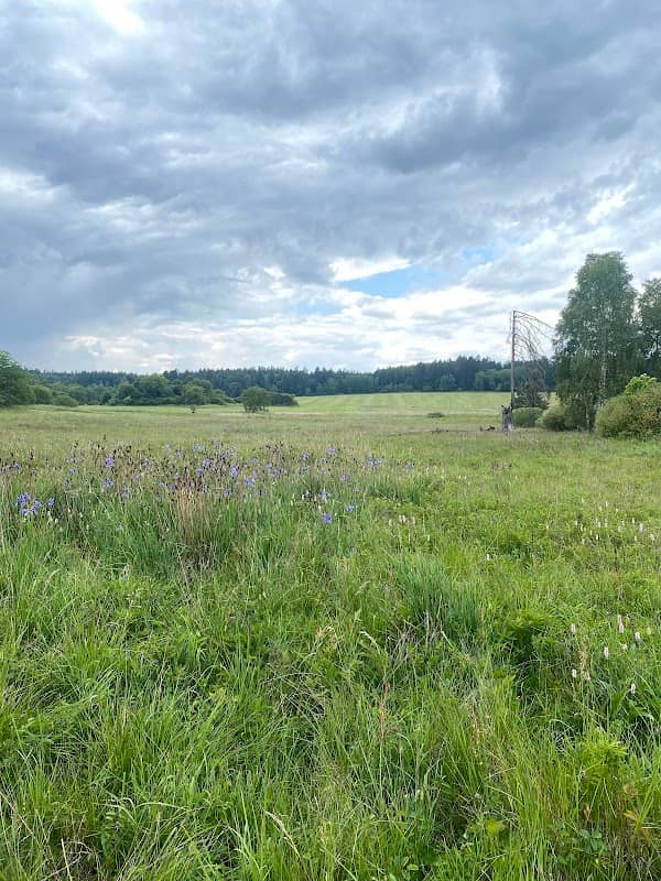 Tiské mokřady - Image 1