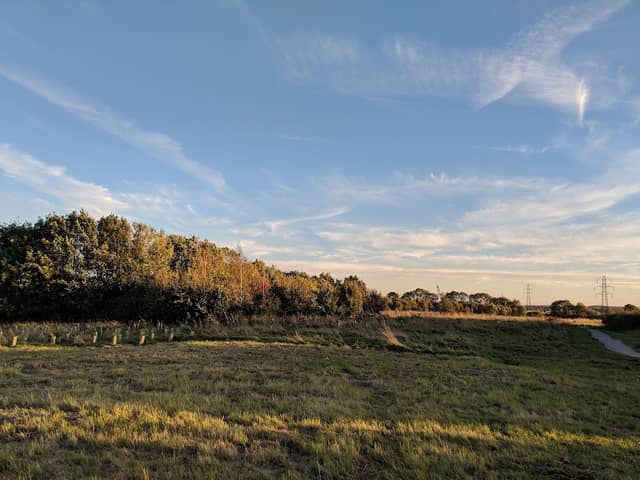 Mareham Pastures Local Nature Reserve - Image 2