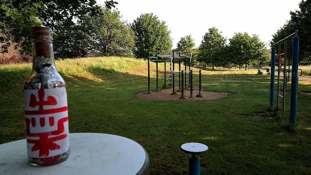Parco pubblico - Image 1