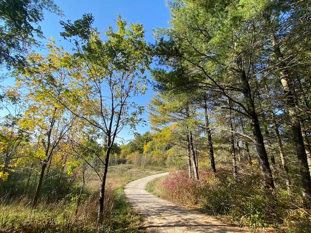 Woodstock Sliver Trail - Image 2