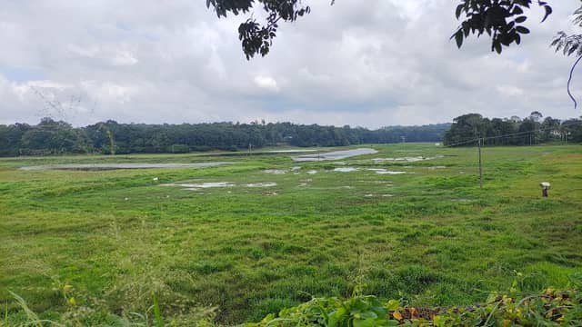 Manthuka Puncha View Point - Image 1