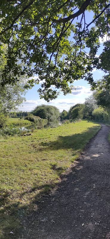 Selby Canal - Image 3