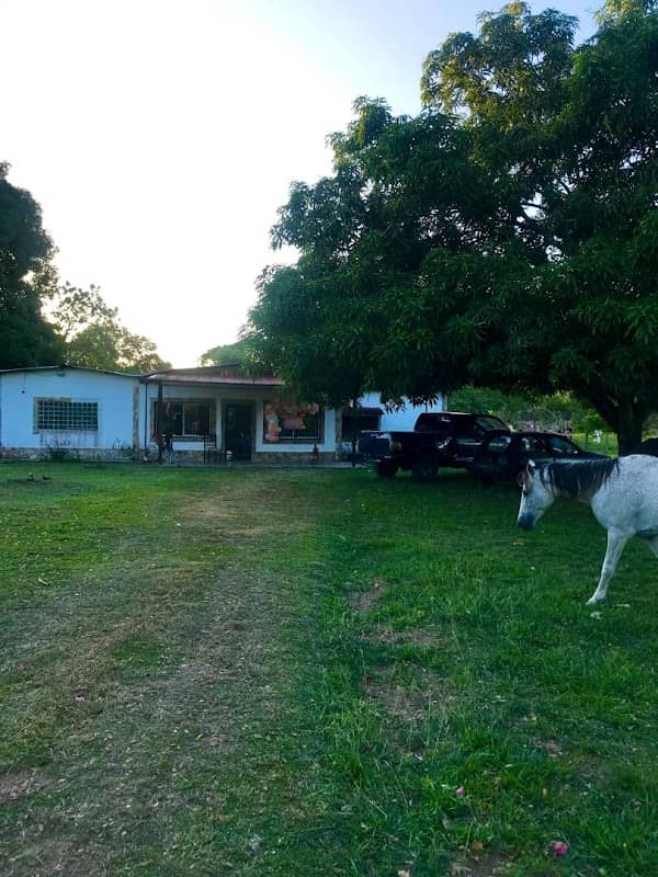 Finca Torrealba - Image 1