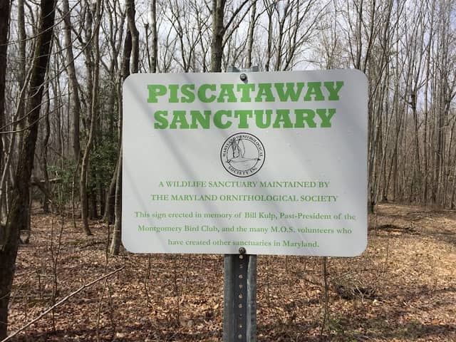 Piscataway Sanctuary - MD Ornithological Society - Image 3