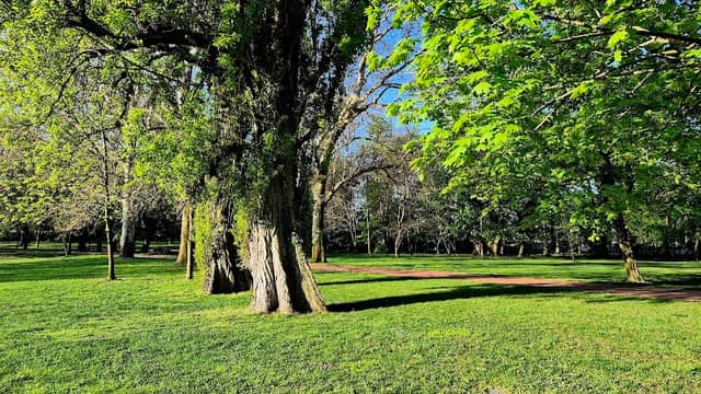 Kračanský park - Image 1