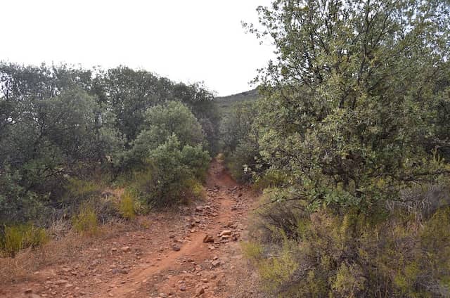 Pozo Peñalba - Image 2
