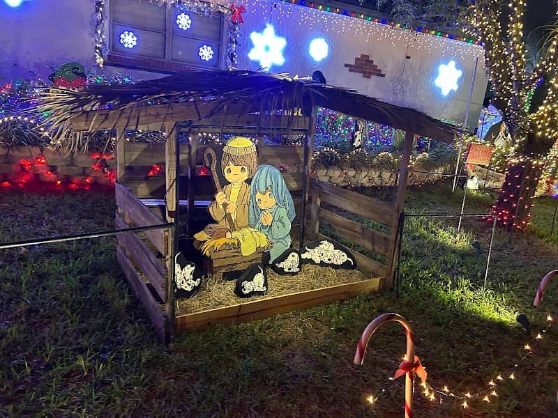 Amazing Christmas Lights & Halloween House - Image 1