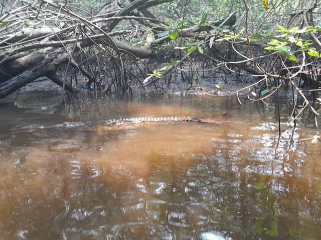 Canal del Zapatero - Image 1