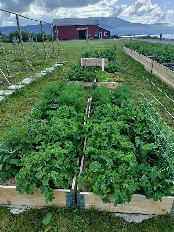 Hagen ved havet (garden by the sea) - Image 1