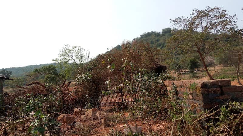 Inner Wheel Forest - Image 1