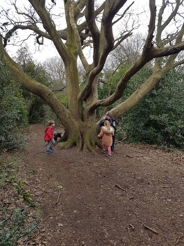 Pakefield Park - Image 2