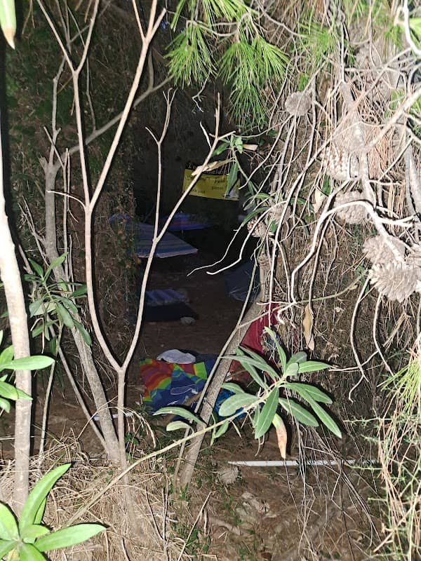 Cat village - Image 1