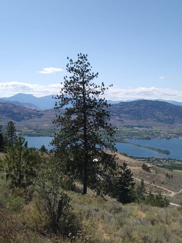 Aussichtspunkt auf Osoyoos - Image 2