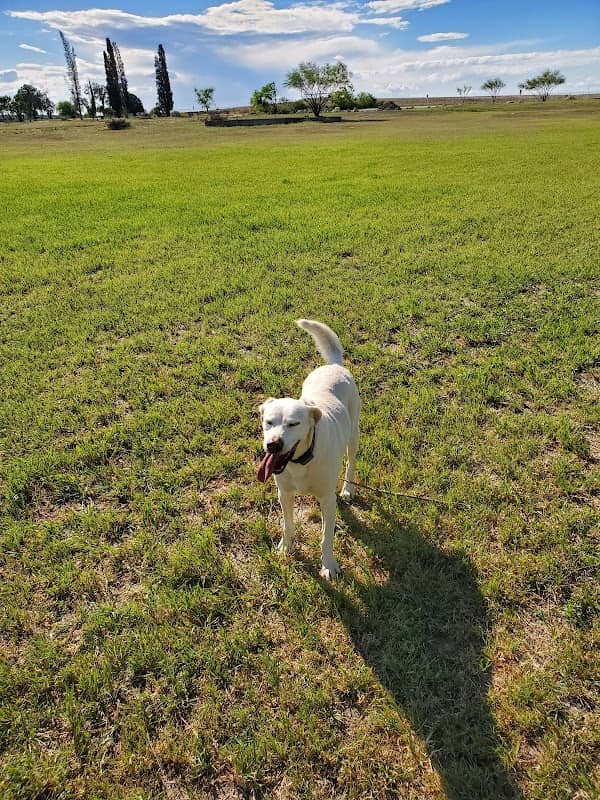 Carranza Park - Image 1