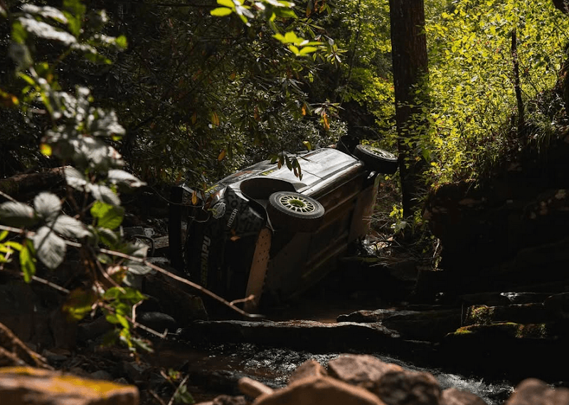 Scully's Gully - Image 1