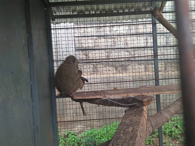 Meru Museum - Image 2