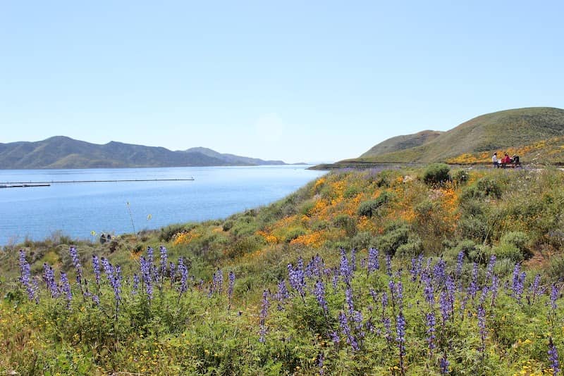 Wildflower Trail - Image 3