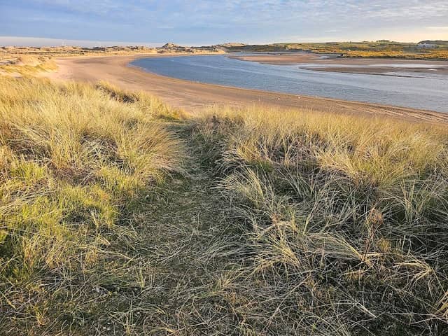 River Ythan Estuary - Image 1