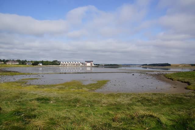 River Ythan Estuary - Image 3