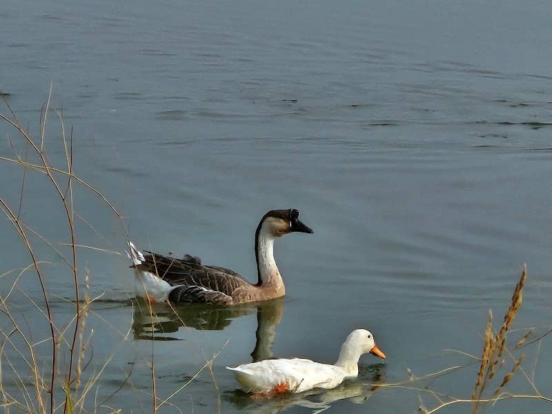 Lake Park - Image 1
