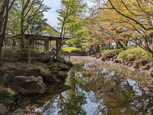 Mabashi Park - Image 1