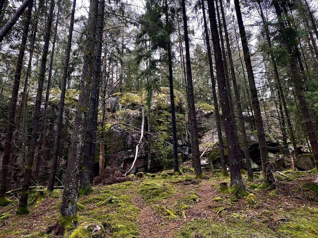Start of the Trollskogen forest recreational path - Image 2