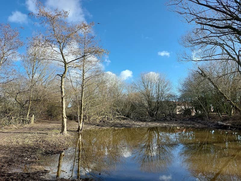 Rossett Nature Reserve - Image 2