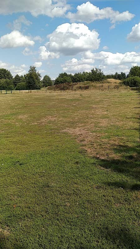 Hunde Park - Image 1