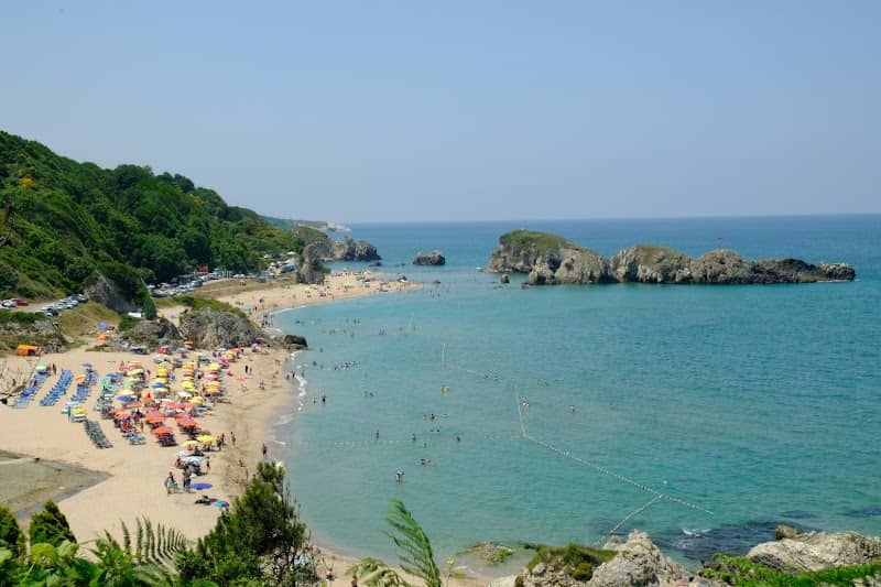 Woodyville camping area - Image 1