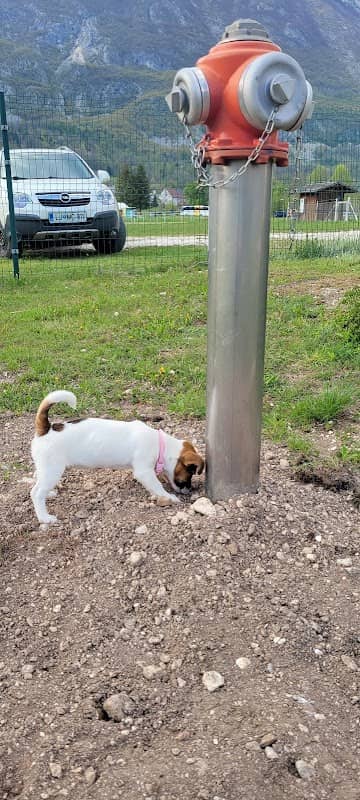 Bovec Bark Park - Image 1