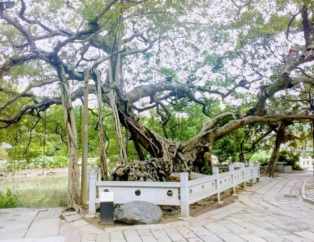 Yingzhou Ecological Park - Image 1