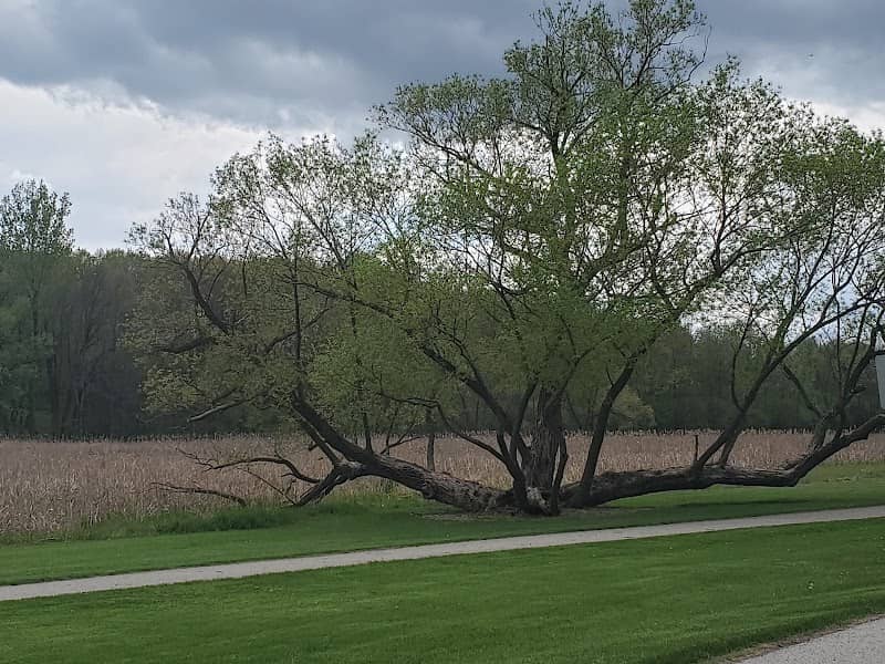 Lilly Heights Park - Image 1