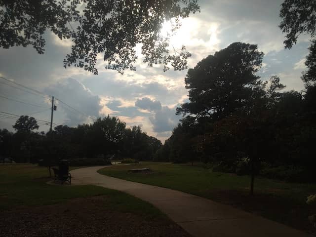 Evelyn Trail - Image 1