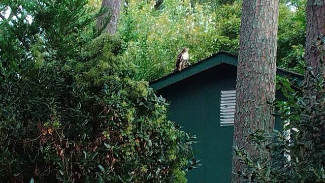 Evelyn Trail - Image 3