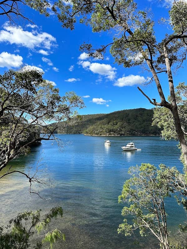 Mount Ku-ring-gai track to Berowra Station - Image 1